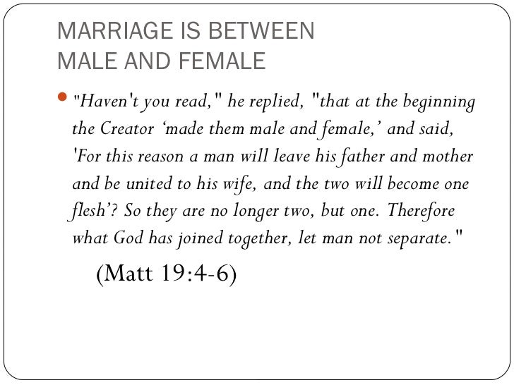 Why same sex marriage should be legal picture 29